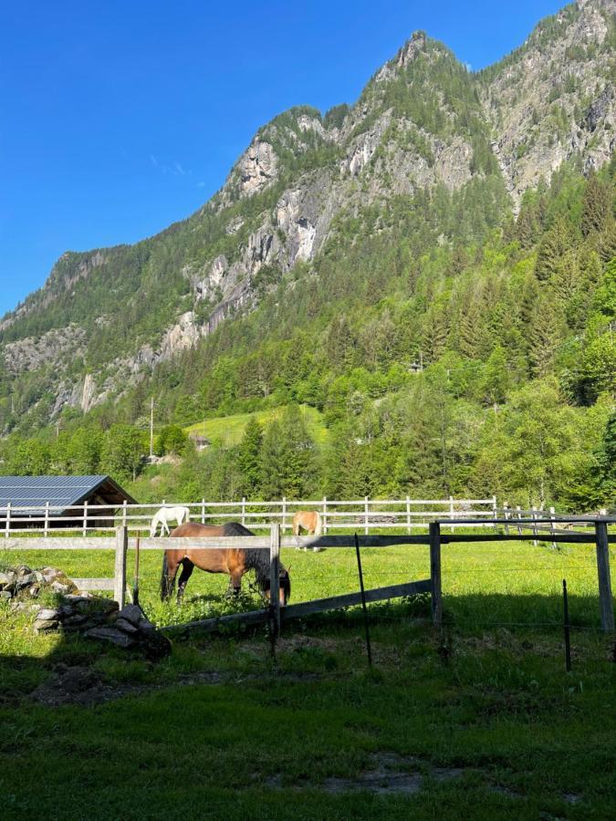 Bed And Breakfast Campo Base Carona  Buitenkant foto